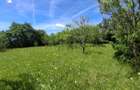 Ofertă de vânzare teren de 2700 mp., sat Popești - 6