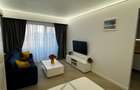 Studio Premium Cortina North (45 mp + balcon) - 3