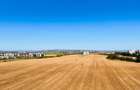 Mrs Residence  Gradinile/ Cartier Albert  cu vedere panoramica catre munte - 17