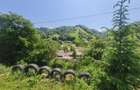 FILM!View superb catre munti,teren pretabil constructie Hotel,4.400 mp, Moieciu - 52