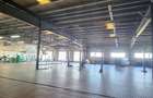 Showroom auto suprafata 6500 mp, teren 1500 mp, deschidere 90 ml la DN 1. - 20