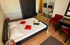 Apartament de închiriat, 1 cameră, 40 mp, Borhanci zona Romul Ladea - 3