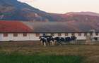 Vand teren  500 m p , 1000 mp  , 17500 mp intravilan , negociabil. - 4