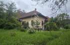 Proprietate cu potential turistic in Gurahont - 1