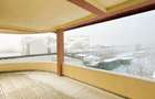 Vanzare - Vila Premium cu Potential de Business - Vidra - 16
