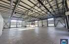 Spatiu industrial de inchiriat, zona Exterior Vest, 1185 mp #16782 - 2