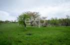 Proprietate unică, în zonă verde și liniștita - 9