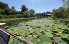 Teren+CASA 8000mp Deschidere 36ml Lacul Snagov - 2