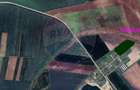 Teren agricol 14,200mp zona fermei din Zimandu Nou - 3