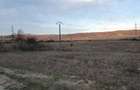 Teren intravilan zona Candesti BZ 10.000mp d=52m la DN10 Pret: 12 mp neg. - 4