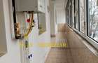 City Park : Apartament 3 camere,două holuri,etaj 2, gaze, balcon generos - 17