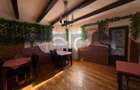 VANZARE VILA PONTENTIAL BUSINESS | ZONA DRISTOR BABA NOVAC | D+P+1E+M - 1