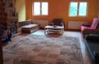 Oferta Vânzare vilă elegantă cu teren generos, situată aproape de București - 9