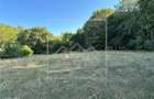 Teren de vanzare in Sibiu - 18.000 mp - Sura Mare - 3