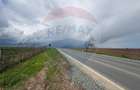 Teren extravilan Săcele ideal pentru silozuri, fermă sau investiție - 2
