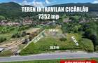 Teren intravilan 7352 mp, cu Deschidere 76.3 m la Șoseaua Națională - Cicârlău - 1