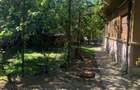 Voluntari Vanzare Casa batraneasca cu teren 100mp - 3