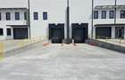 Hala Depozit H3 - 2026 - Rampe TIR - ISU - A0/A3 - 600 EUR/mp - 4