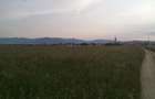 Imobiliare Maxim - teren in Cristian - 6