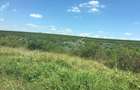 Teren agricol - livada - Galita Ostrov - 1