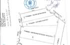 De vanzare 8 ha teren arabil extravilan Branistea, 11.000euro/ha negociabil - 3