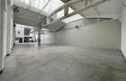 Showroom zona Carrefour Felicia Iasi, de la 107mp la 2000mp, Kaufland - 12