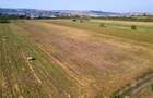 Teren intravilan, 2.800 m2, Cluj-Napoca - 12 Teren intravilan, 2.800 m2, Cluj-Napoca - 12