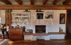 Casa 4 camere de vanzare in Salicea - 3