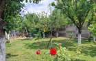Vilă Premium cu Piscină în Șag – Mutare Imediată, la Cheie - 6