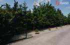 Casa individuala cu 8 camere si lac cu pesti, teren 4424 mp - Jebel - 28