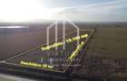 Teren intravilan, 19.100 mp,pretabil investitie -zona Calea Surii Mari - 1