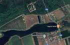 Teren de 6.303mp cu acces direct la lac, între pădure și apă – Moara Vlăsiei - 3