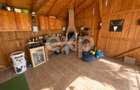 Triplex cu pod amenajat,foișor, beci și curte însorită | Cartierul Izvor - 15