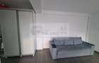 Apartament o camera - Bucium - Visan - 300Euro - 3