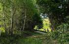 Teren Poiana Mărului Brașov,  PUZ, 11600mp, pe ruta via Transilvanica - 7