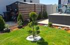 Casa 3 camere - 39