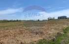 De vânzare teren intravilan 1,955mp , Paleu - 4