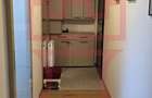 Inchiriere apartament 2 camere mobilat + garaj 7 strazi Emil Racovita - 7