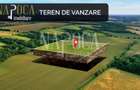 Teren extravilan agricol de vanzare in Hidiselul de Sus - 1