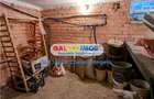 Nerva Traian, 1 apartament si 2 gars. in vila, SU 133 mp, teren 156 mp - 10