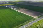 COM 0% Teren industrial pentru hale, servicii | DN69 Sanandrei - 5
