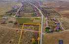 Teren ideal ca investiție, 19000 mp, în Pișchia pe DJ691, comision 0 - 7