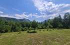 FILM! Oaza paradisiaca cu lac, vedere catre Bucegi, Glajerie/ Rasnov, pretabil C - 11