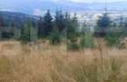 Teren extravilan de vanazre, 42.152 mp, zona Saru Dornei