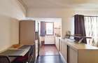 Inchiriere apartament 2 camere  Camil Ressu Fizicienilor - 4