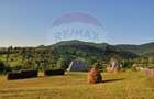 Vanzare 3 case de vacanta si 15750 mp teren, Botiza, Maramures - 2