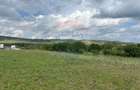 Teren de vanzare 13783mp, front la DN, parcela unica zona de vest - 4