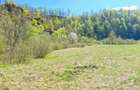 Vând teren intravilan Tarnița - Risca - Mărișel  jud. Cluj - 9