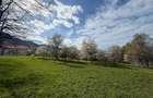 Teren intravilan 763 mp in zona Bran-Tohanita,judetul Brasov - 12