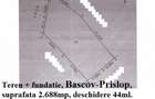 Teren Bascov, diverse suprafete - 4